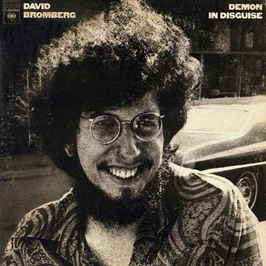 David Bromberg -  Demon in Disguise